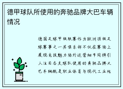 德甲球队所使用的奔驰品牌大巴车辆情况